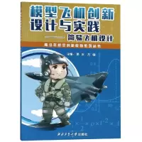音像模型飞机创新设计与实践:简易飞机设计郭庆 方健