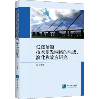 音像低碳能源技术研发网络的生成、演化和效应研究马玎