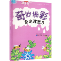 音像色彩课堂 3 奇妙棒彩那继勇,李建勋 编