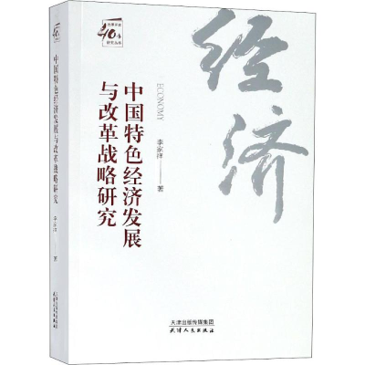 音像中国特色经济发展与改革战略研究李家祥