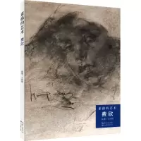 音像素描的艺术 费欣王剑锋 编