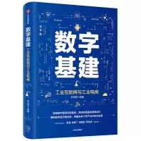 音像数字基建(工业互联网与工业电商)尹丽波