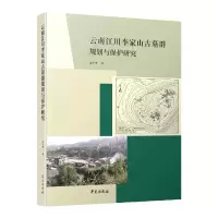 音像云南江川李家山古墓群规划与保护研究朱宇华