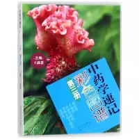 音像学速记彩色图谱(3)王满恩