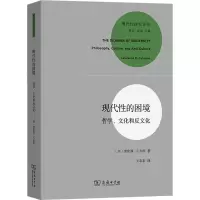 音像现代的困境 哲学、文化和反文化(美)劳伦斯·E.卡洪