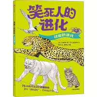 音像过度的进化今泉忠明
