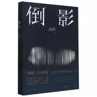 音像倒影冯华著