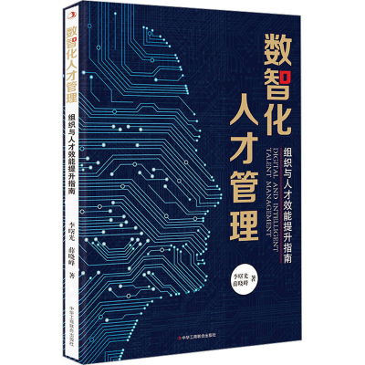 音像数智化人才管理 组织与人才效能提升指南李曙光,薛晓峰