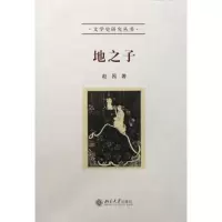 音像地之子/文学史研究丛书赵园