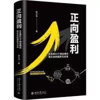音像正向盈利(从全球40个商业模式看企业的盈利与未来)(精)倪云华
