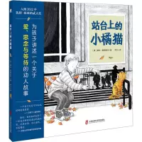 音像站台上的小橘猫(英)黛比·葛莉欧利