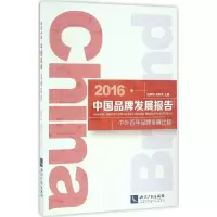 音像2016中牌发展报告钱明辉,谭新政 主编