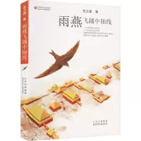 音像雨燕飞越中轴线张之路