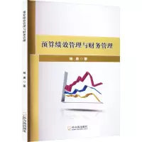音像预算绩效管理与财务管理杨勇