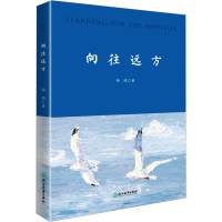 音像向往远方杨鸥