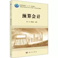 音像预算会计林文,李益兰 编