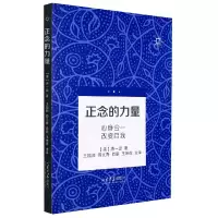 音像正念的力量——心身合一 改变自我(美)唐一源