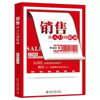 音像销售从入门到精通李金旺