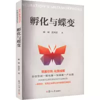 音像孵化与蝶变顾斌,沈风雷