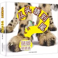音像腿脚猜猜猜岑建强
