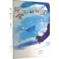 音像会飞的日子孟宪明