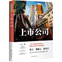 音像上市公司/财经小说系列/中国专业作家作品典藏文库丁力著