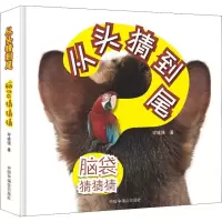 音像脑袋猜猜猜岑建强