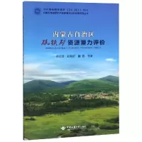 音像内蒙古自治区硫铁矿资源潜力评价孙月军