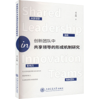 音像创新团队享领导的形成机制研究宋志刚