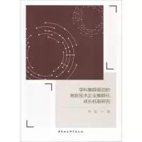 音像学科集群驱动的高新技术企业集群化成长机制研究李雯