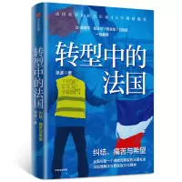 音像转型中的法国(纠结痛苦与希望)徐波