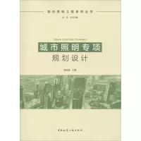 音像城市照明专项规划设计荣浩磊