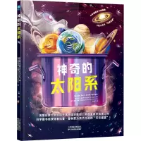 音像的太阳系(英)拉曼·普林贾