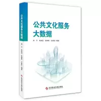音像公共文化服务大数据刘平[等]编著