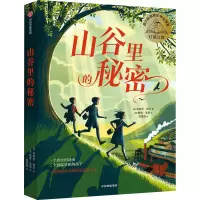音像山谷里的秘密(英)莱斯利·帕尔
