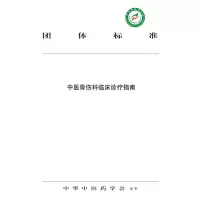 音像中医骨伤科临床诊疗指南中华医学会