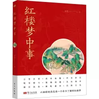 音像红楼梦中事付曼