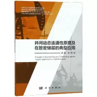 音像井间动态连通原理及在致密储层的典型应用刘顺,赵辉