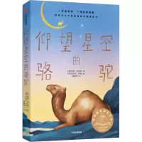音像仰望星空的骆驼(美)凯西·阿贝特