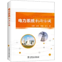 音像电力系统机网协调闵勇 等
