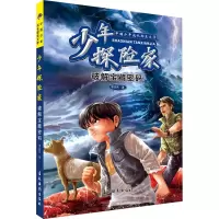 音像少年探险家 破解宝藏密码李志伟