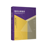 音像临床心理督导(提升文化胜任力)钱捷