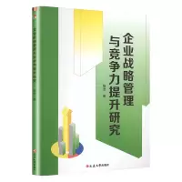 音像企业战略管理与竞争力提升研究杨波