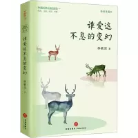 音像谁爱这不息的变幻 插图典藏本林徽因