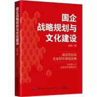 音像国企战略规划与文化建设谢理