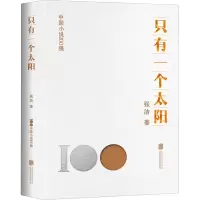 音像只有一个太阳张洁