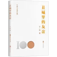 音像县城里的友谊石一枫