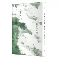 音像放逐的灵魂张如凌