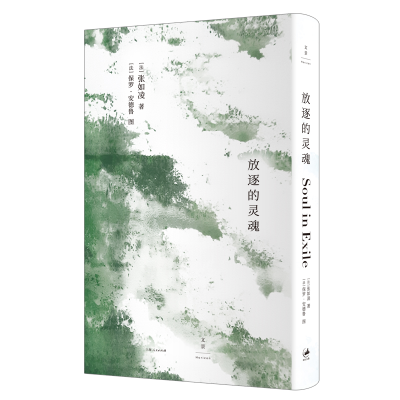 音像放逐的灵魂张如凌