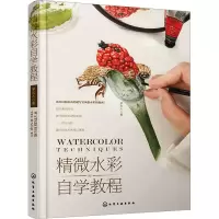 音像精微水彩自学教程茅夫人